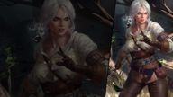 The Witcher (Fighting Ciri)